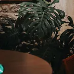 ホテル Sonnet
