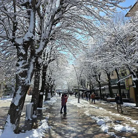 Sonnet * Korça