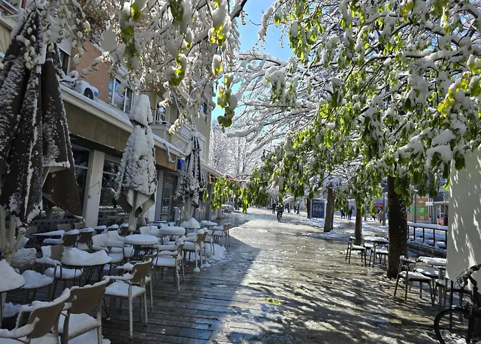 酒店 Sonnet 科尔察